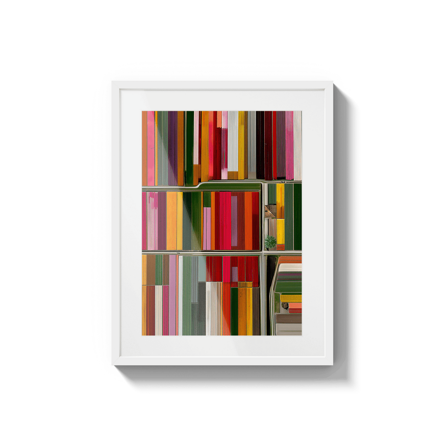 Altitud de tulipanes