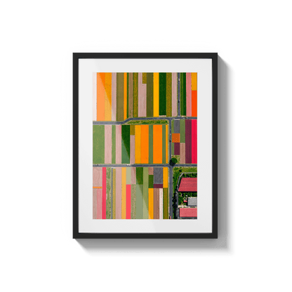  Altitud de tulipanes 2