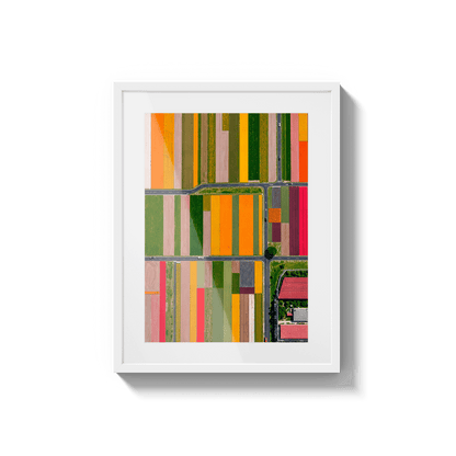  Altitud de tulipanes 2