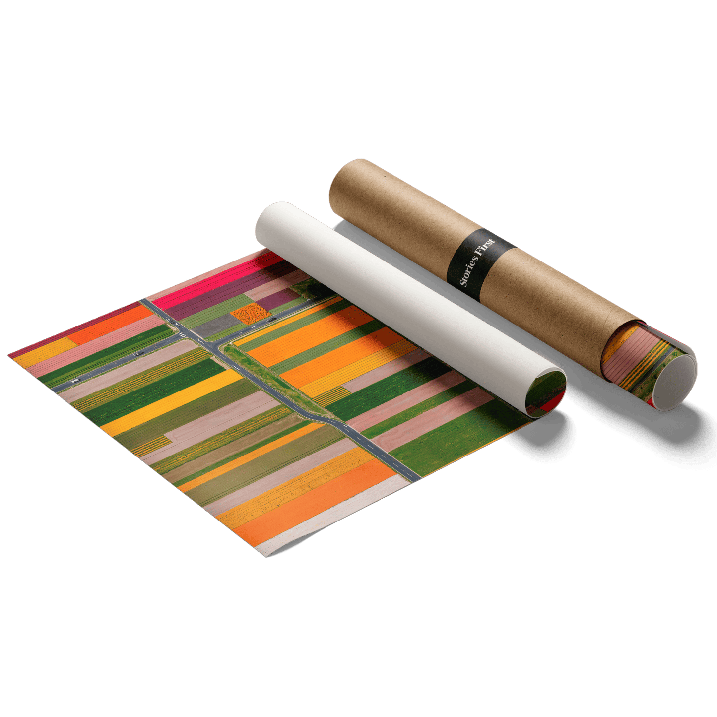  Altitud de tulipanes 2