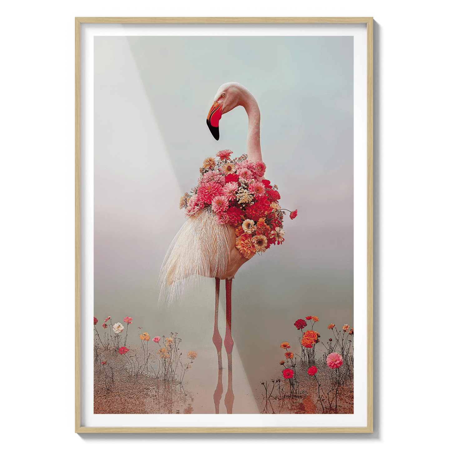 Flamingo