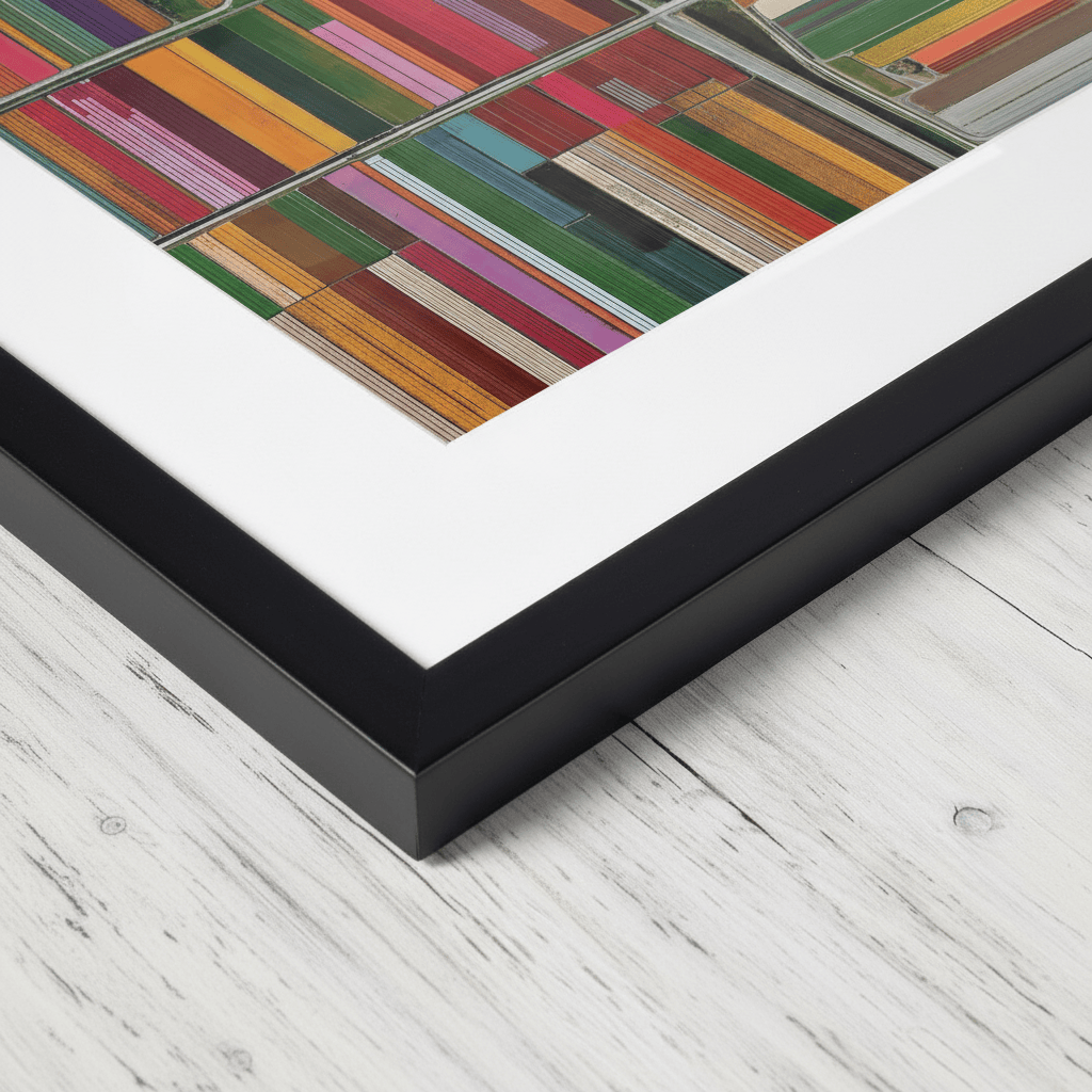  Altitud de tulipanes