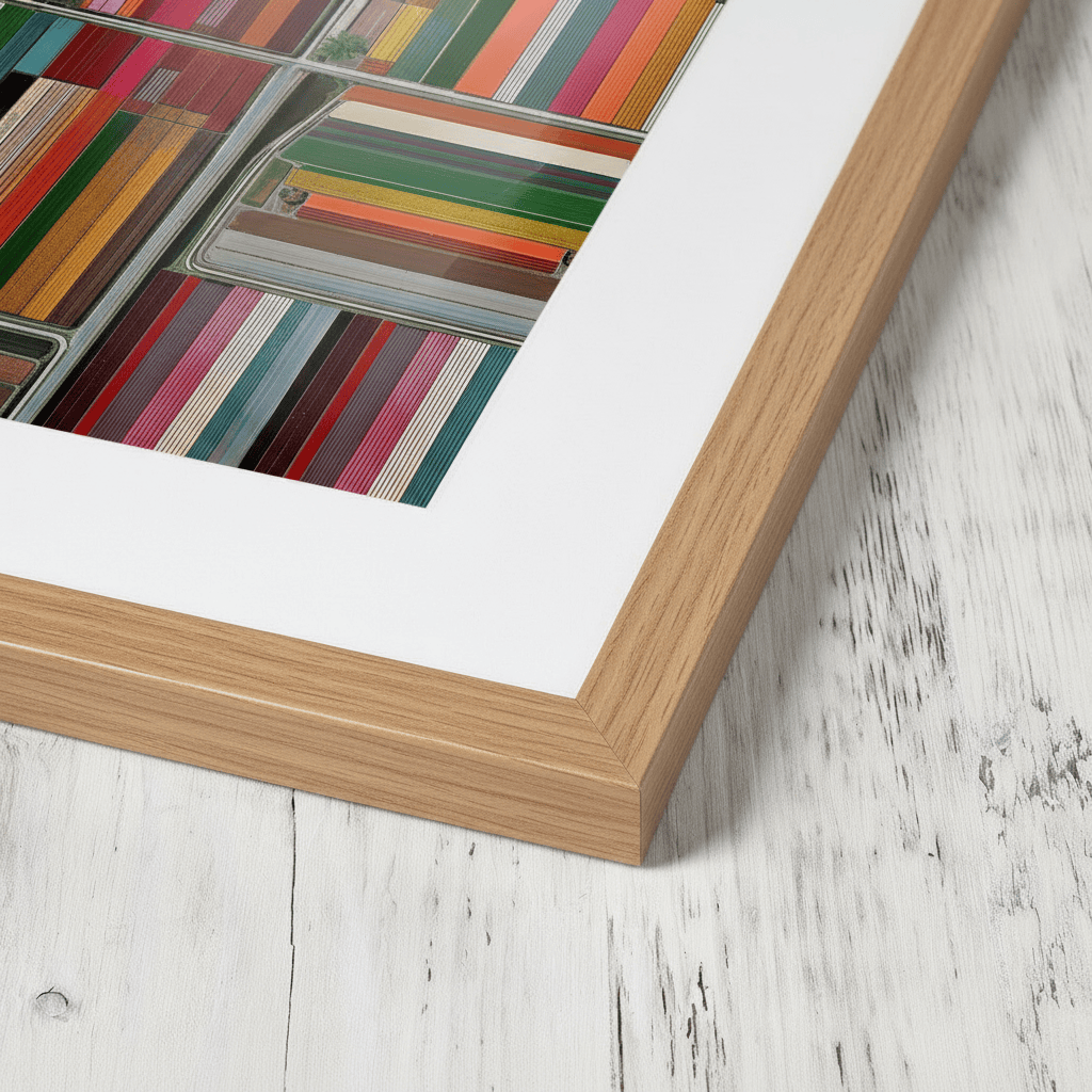  Altitud de tulipanes